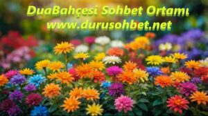 Duabahçesi Sohbet Ortamı